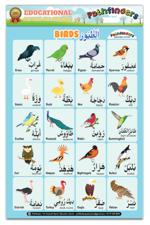 birds-poster