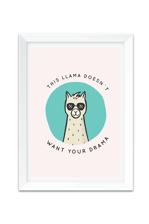 This Llama Doesn't Want Your Drama