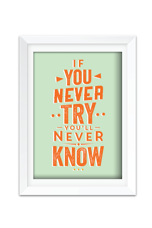 If You Never Try You'll Never Know